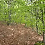 Semesterbostad Spacieux Et Renove Avec Equipements Modernes, Terrasse Et Vaste Jardin Pres De Gevaudan Et Margeride - Fr-1-582-301 *
