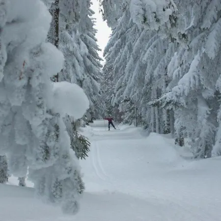 Spacieux Et Renove Avec Equipements Modernes, Terrasse Et Vaste Jardin Pres De Gevaudan Et Margeride - Fr-1-582-301 Prázdninový dům *