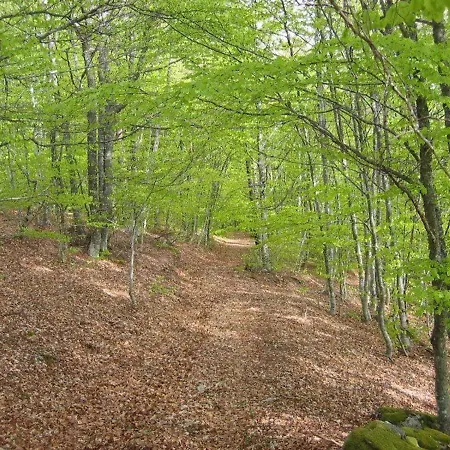 Prázdninový dům Spacieux Et Renove Avec Equipements Modernes, Terrasse Et Vaste Jardin Pres De Gevaudan Et Margeride - Fr-1-582-301 *