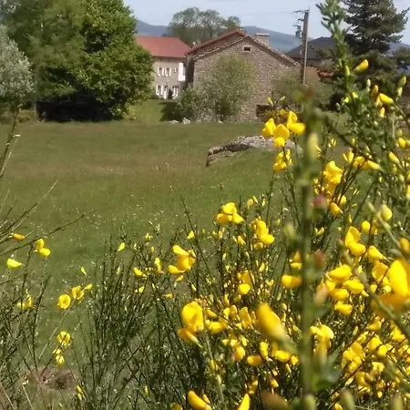 Spacieux Et Renove Avec Equipements Modernes, Terrasse Et Vaste Jardin Pres De Gevaudan Et Margeride - Fr-1-582-301 Thoras