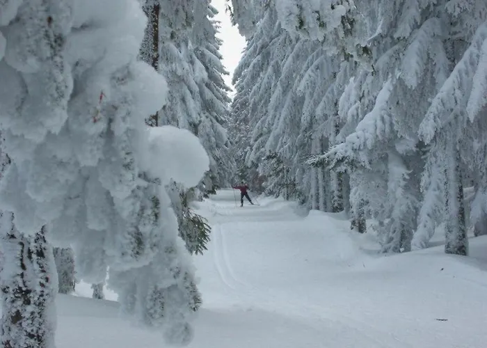 Spacieux Et Renove Avec Equipements Modernes, Terrasse Et Vaste Jardin Pres De Gevaudan Et Margeride - Fr-1-582-301 Holiday home *