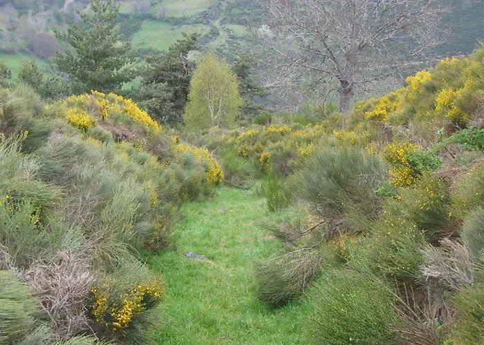 Spacieux Et Renove Avec Equipements Modernes, Terrasse Et Vaste Jardin Pres De Gevaudan Et Margeride - Fr-1-582-301 Holiday home *