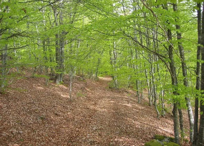 Holiday home Spacieux Et Renove Avec Equipements Modernes, Terrasse Et Vaste Jardin Pres De Gevaudan Et Margeride - Fr-1-582-301 *